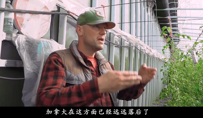 董菜菜抖音,董菜菜最新视频