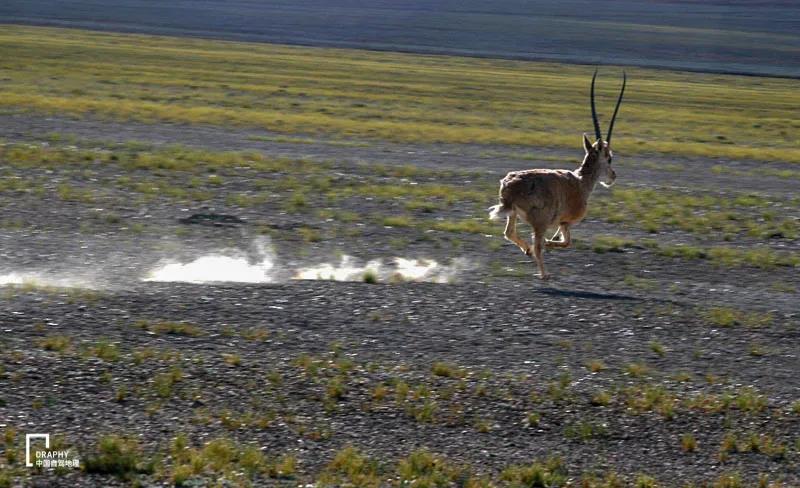 克里雅古道进藏路线,克里雅古道探路最新路况