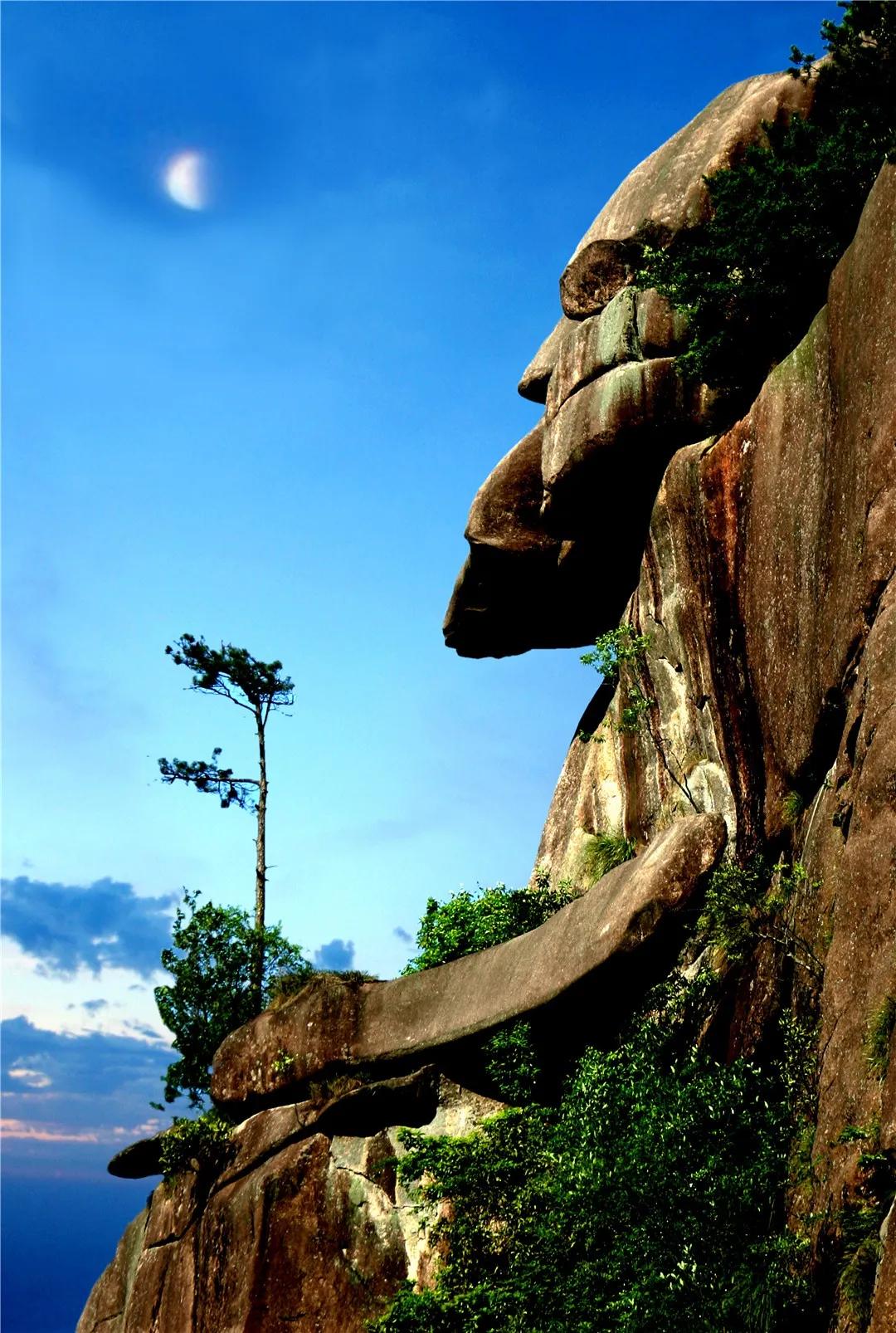 缙云最值得去的地方,缙云大洋山游玩攻略