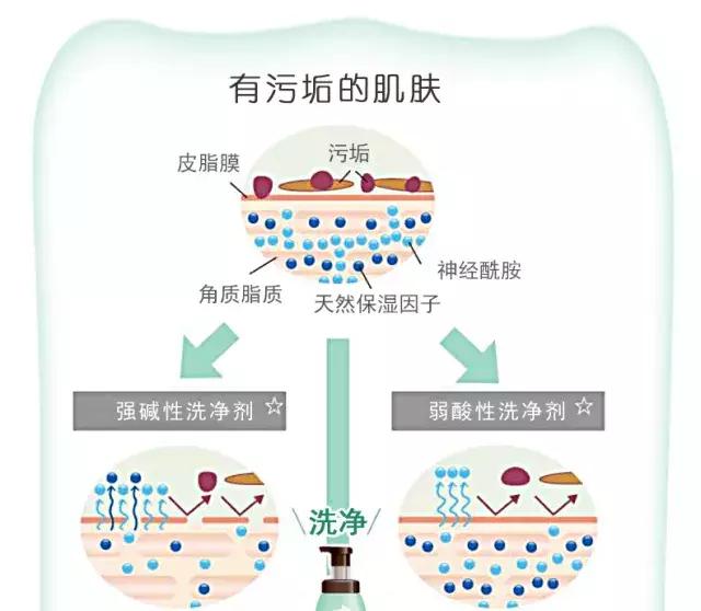 感受一次日本制药公司的魅力