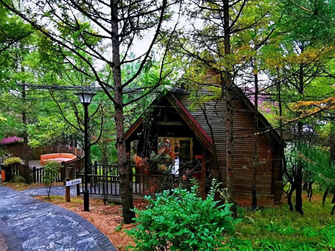 天津周边古镇一日游最佳路线,天津附近古镇免费游一日游攻略