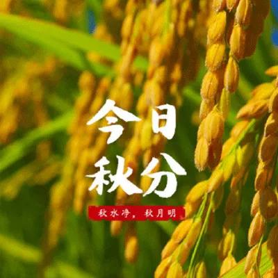 散文秋,散文秋朗诵