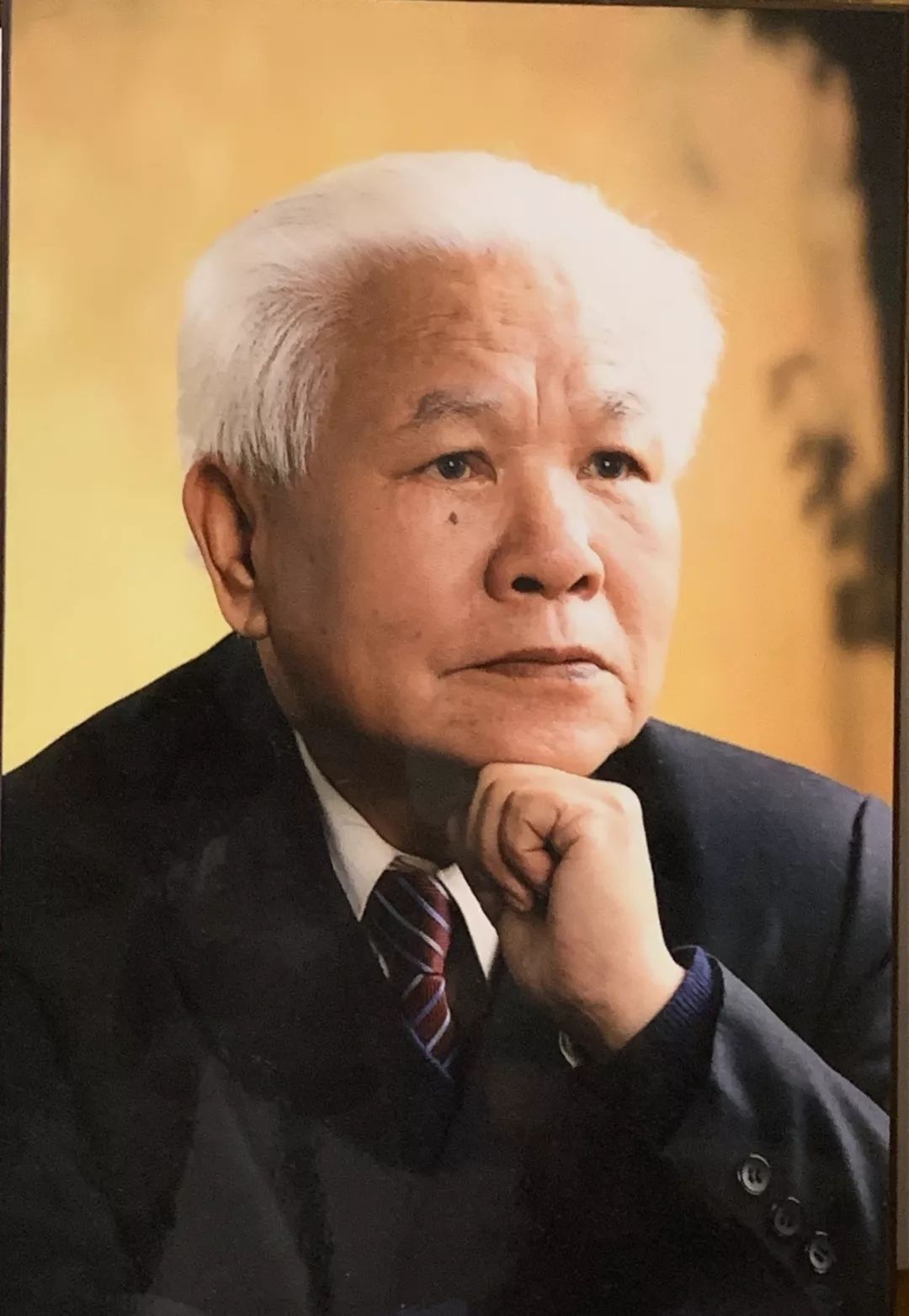 牛！这位南康籍老人获中国翻译界最高奖项！还为南康做了这些事