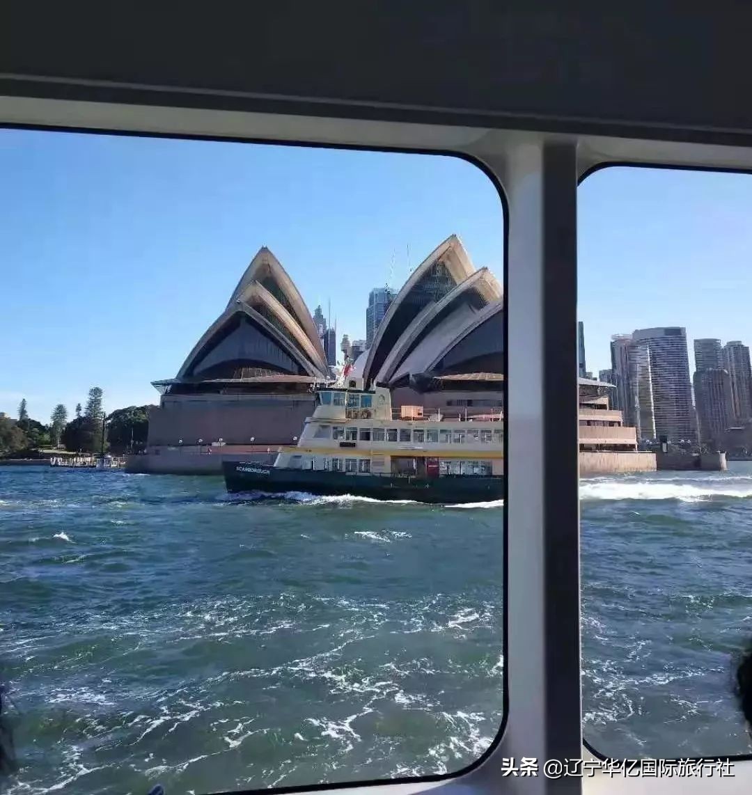 看世界震撼视频,看世界的震撼