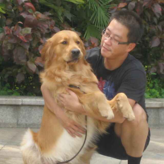 魏庆讲销售技巧,魏庆谈发展经销商路径