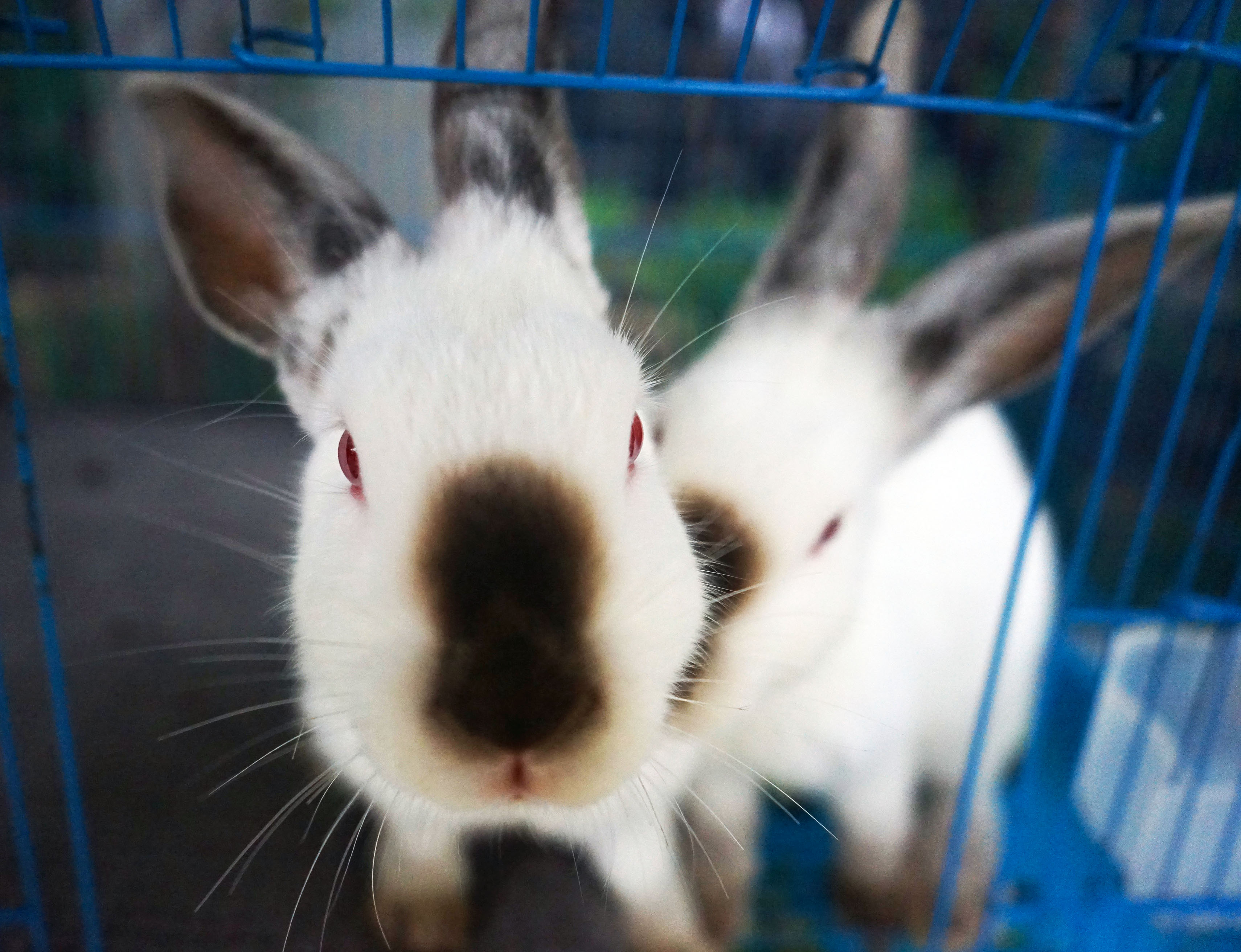 苏州是个温柔细腻且包容的城市,苏州是个温柔的地方