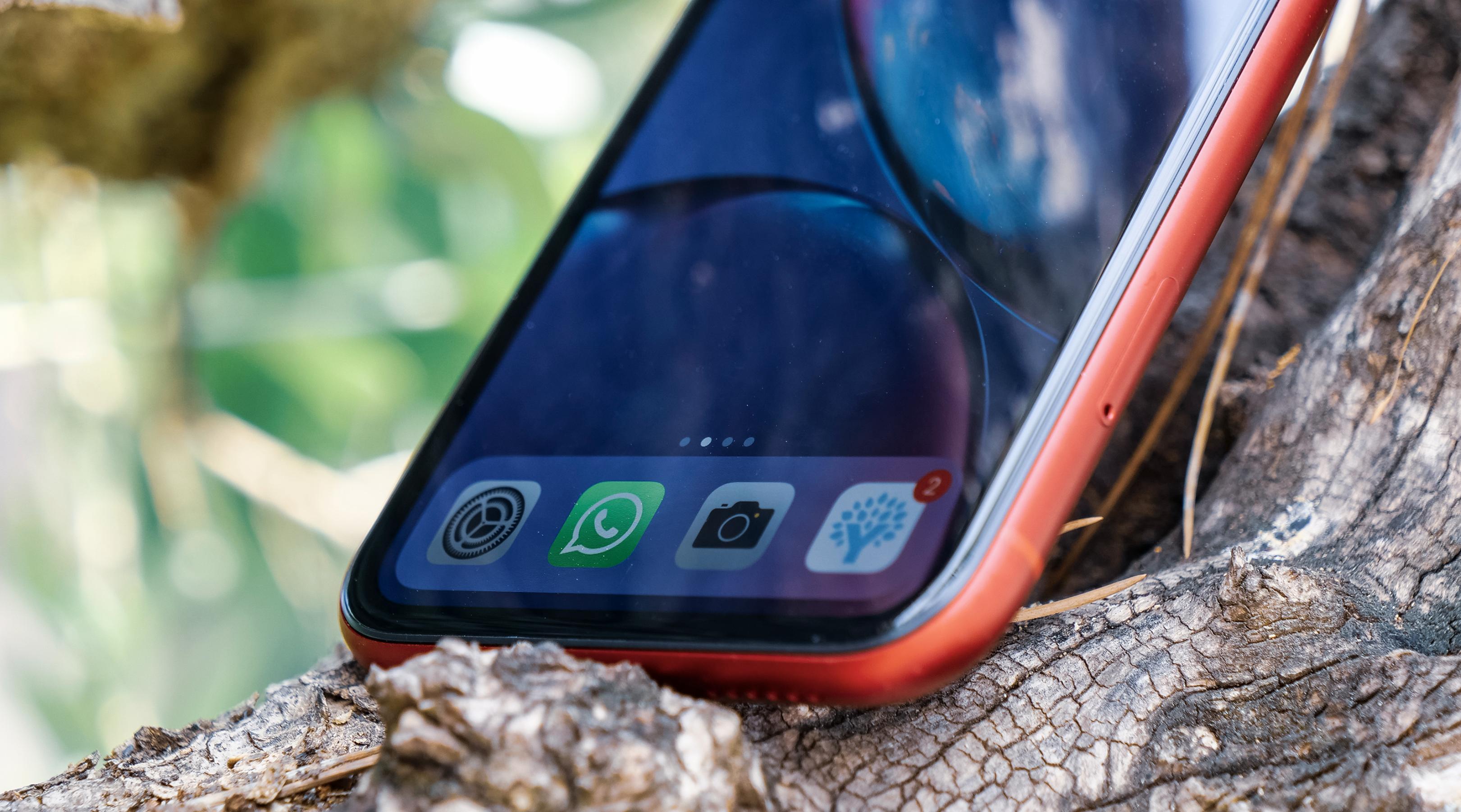 苹果xr官网降价了吗最新信息,苹果xr降价最新信息