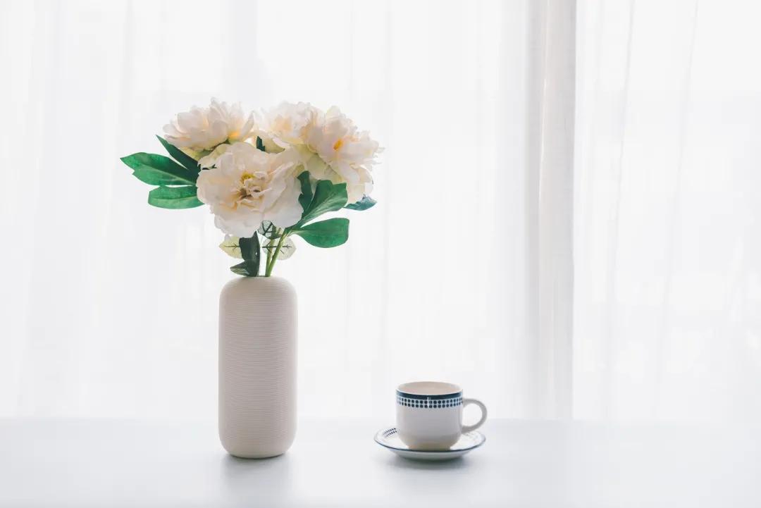 白带有哪些种类照片,五颜六色的菜你见过吗