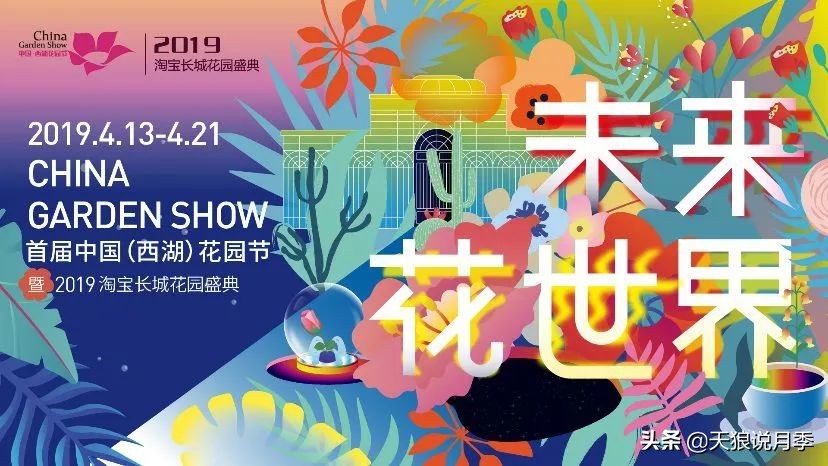 天狼月季优惠活动时间,天狼月季618活动