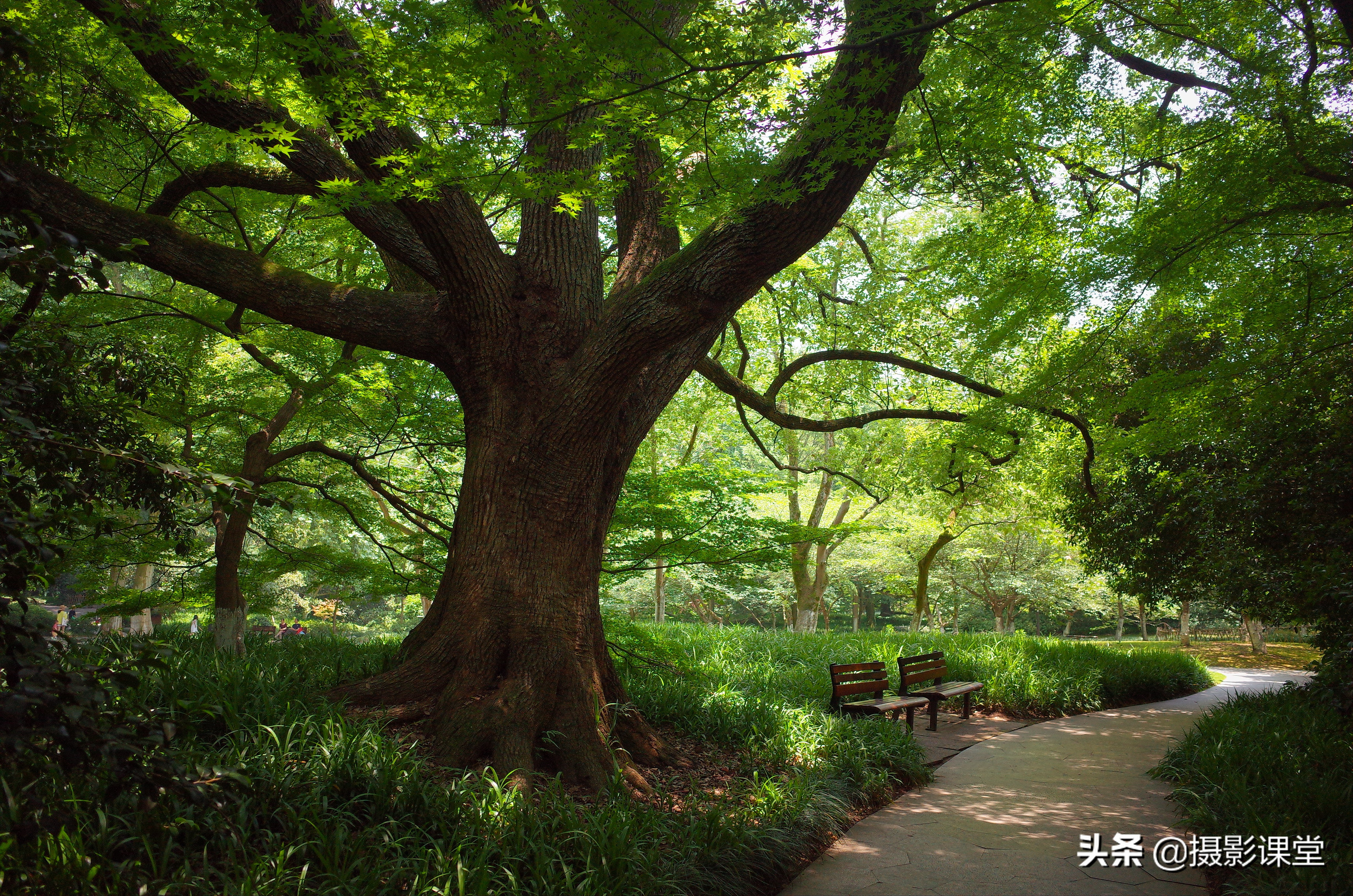 理光gr2拍照效果图,理光gr2摄影集