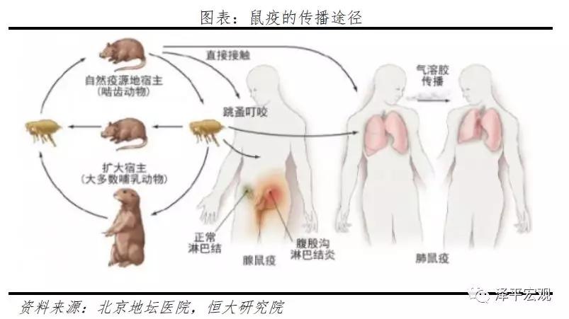 全球历次大瘟疫,全球大流行病的终结