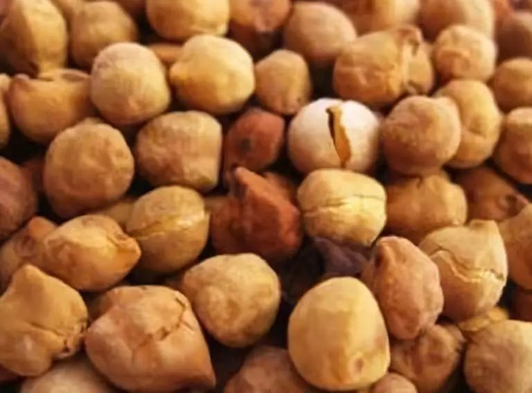 全国各地最全特产,全新疆特产