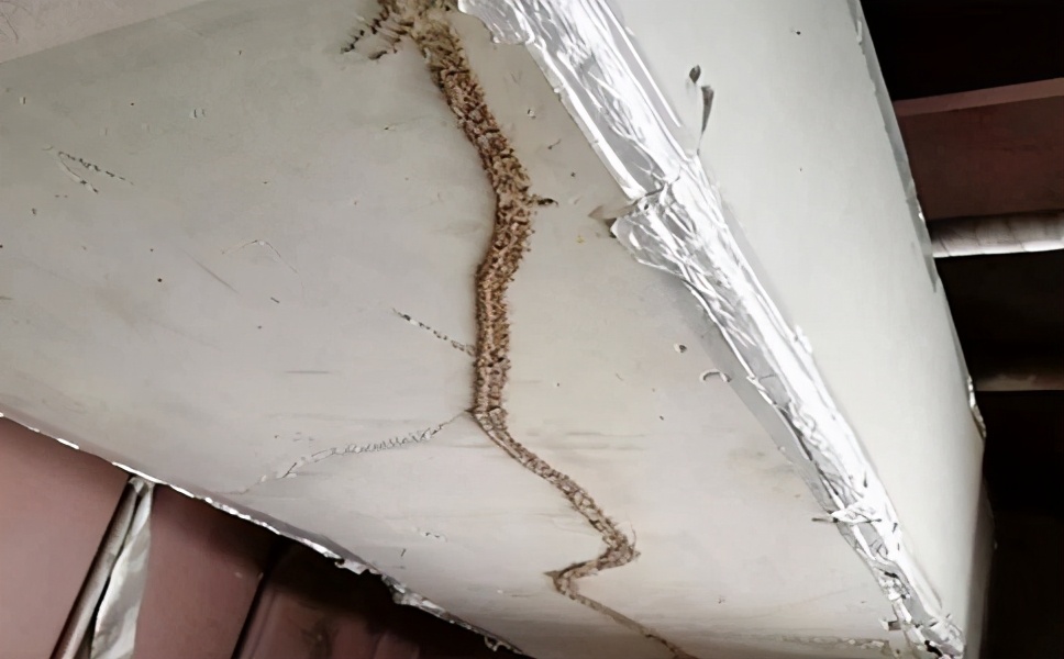 广州家里白蚁怎么除,租赁的房子里面有白蚁怎么办