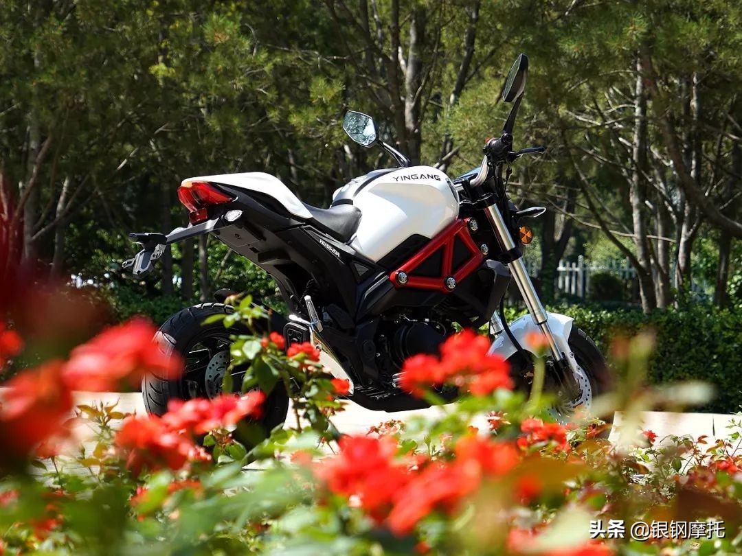 2018款银钢小怪兽125cc,银钢小怪兽yg150-23a电喷实测油耗