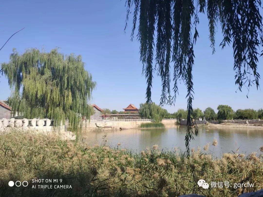 国庆人才需求2019.10.24（二）