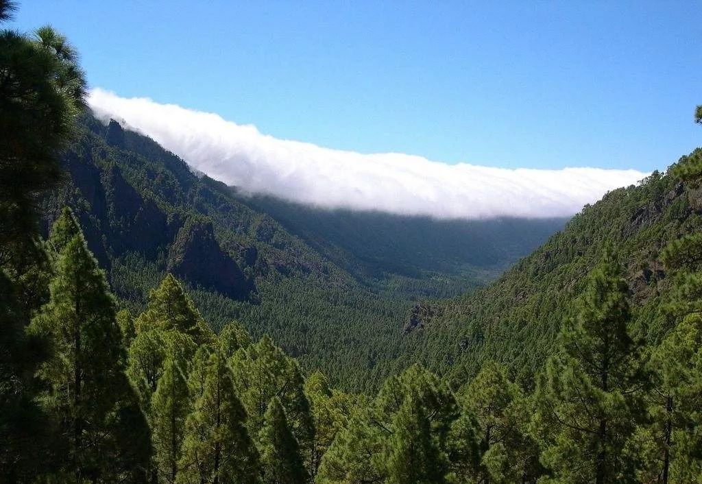 西班牙王国国旗,西班牙王国怎么形成的