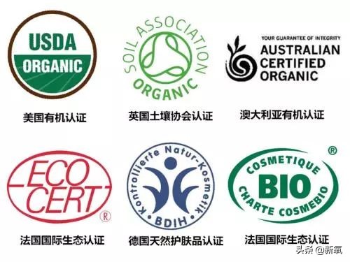 撞脸宋轶抖音,撞脸宋轶的人