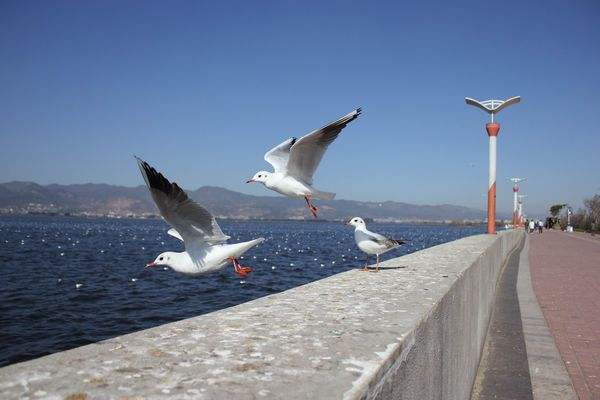 如果你现在过得还不尽如人意,负债累累的人生怎么过