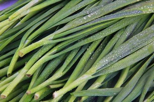 这3种韭菜不能买,这几种蔬菜能不买就别买