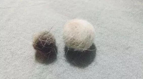 猫毛梳毛神器推荐,去猫毛神器推荐实测有效第一