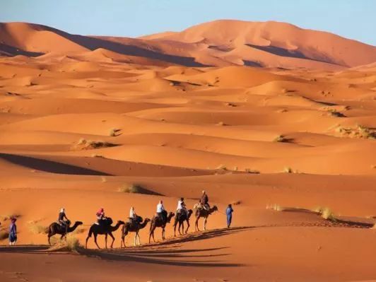 台湾自由行g签是什么,台湾g签自由行