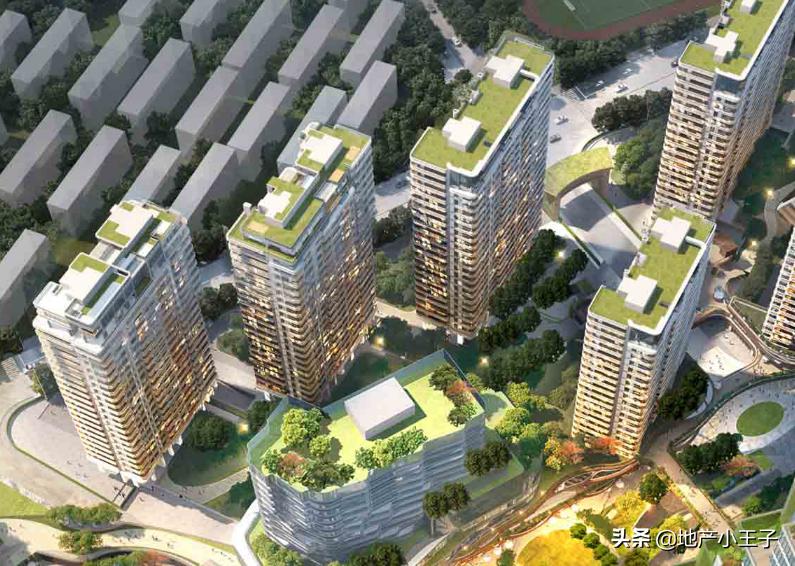 2019年摇红盘,摇不到的红盘