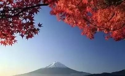 日语和韩语的区别应该学哪个,日语和韩语哪个更有用