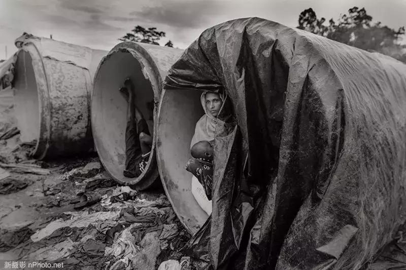 AndreiStenin国际新闻摄影大赛获奖作品