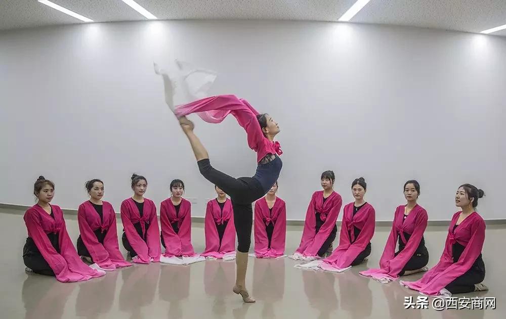 专科志愿填报艺体,志愿填报如何选择省外高职院校