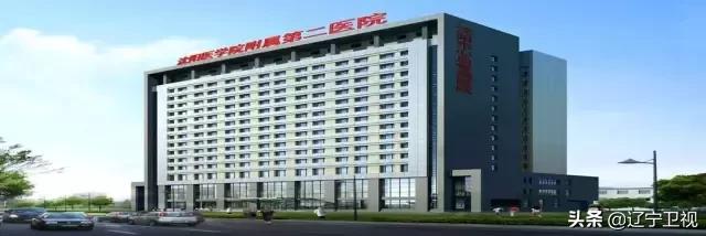 区域急危重症救治,29种危急重症急救流程图解