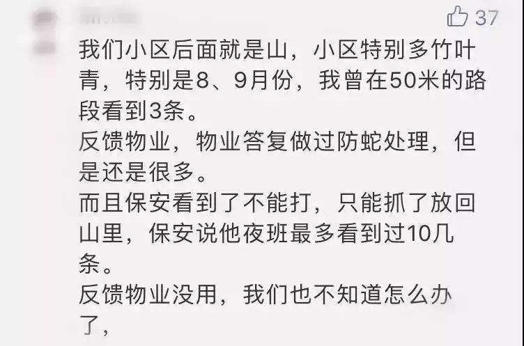怀孕被毒蛇咬了小孩可以生下来吗,孕妇被毒蛇咬了怎么办