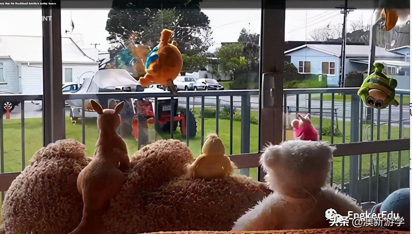 封城期间，玩偶一家的生活大揭秘