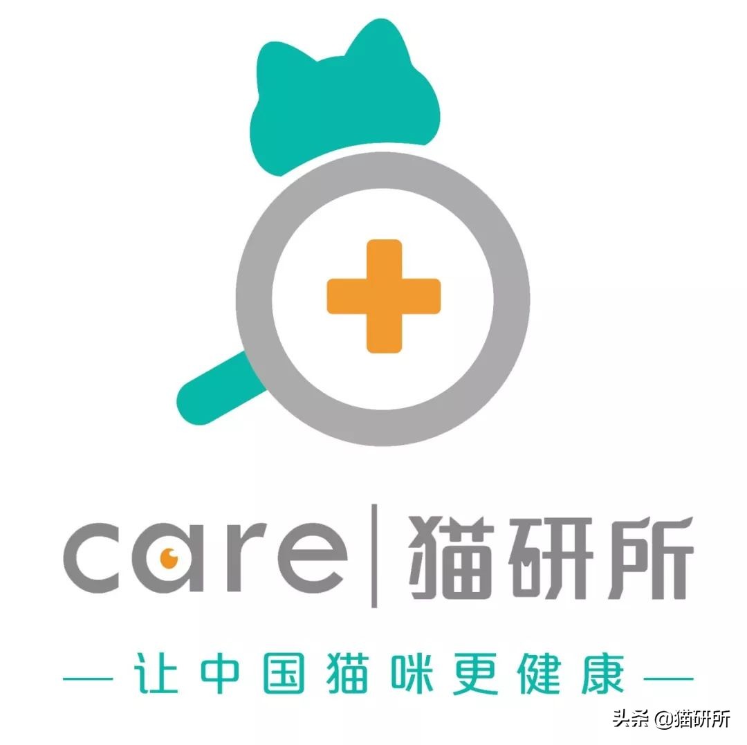 猫为啥爱吃植物,猫爱吃鸡肉还是虾肉