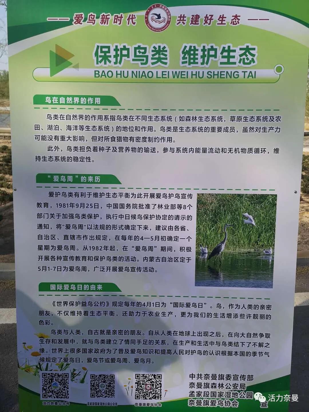 爱鸟周爱鸟护鸟,爱鸟周活动的目的是爱鸟护鸟吗