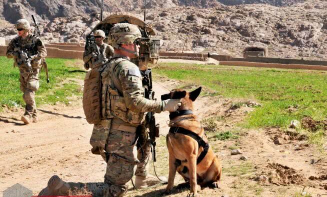 美军单兵装备全套图解,美军最新全套单兵装备