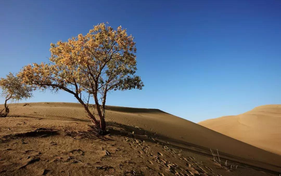 照片好不好看不重要姿势很重要,照片特别好看不知道该选哪个了