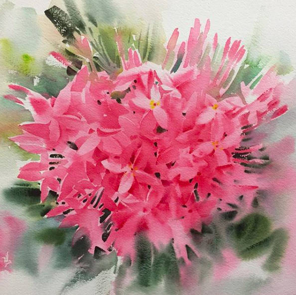 波兰画家水彩花卉,泰国水彩花卉画家