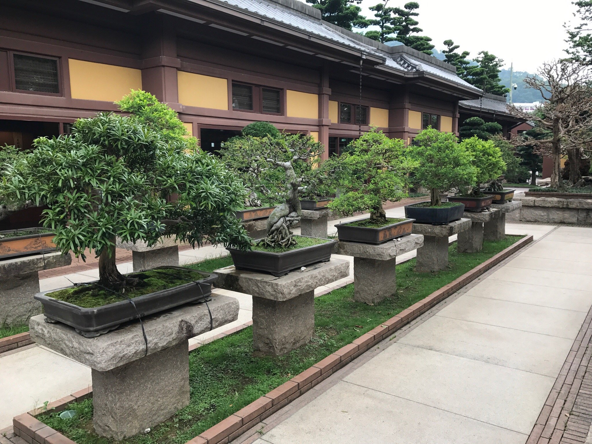 香港志莲净苑地图,香港志莲净苑好玩吗