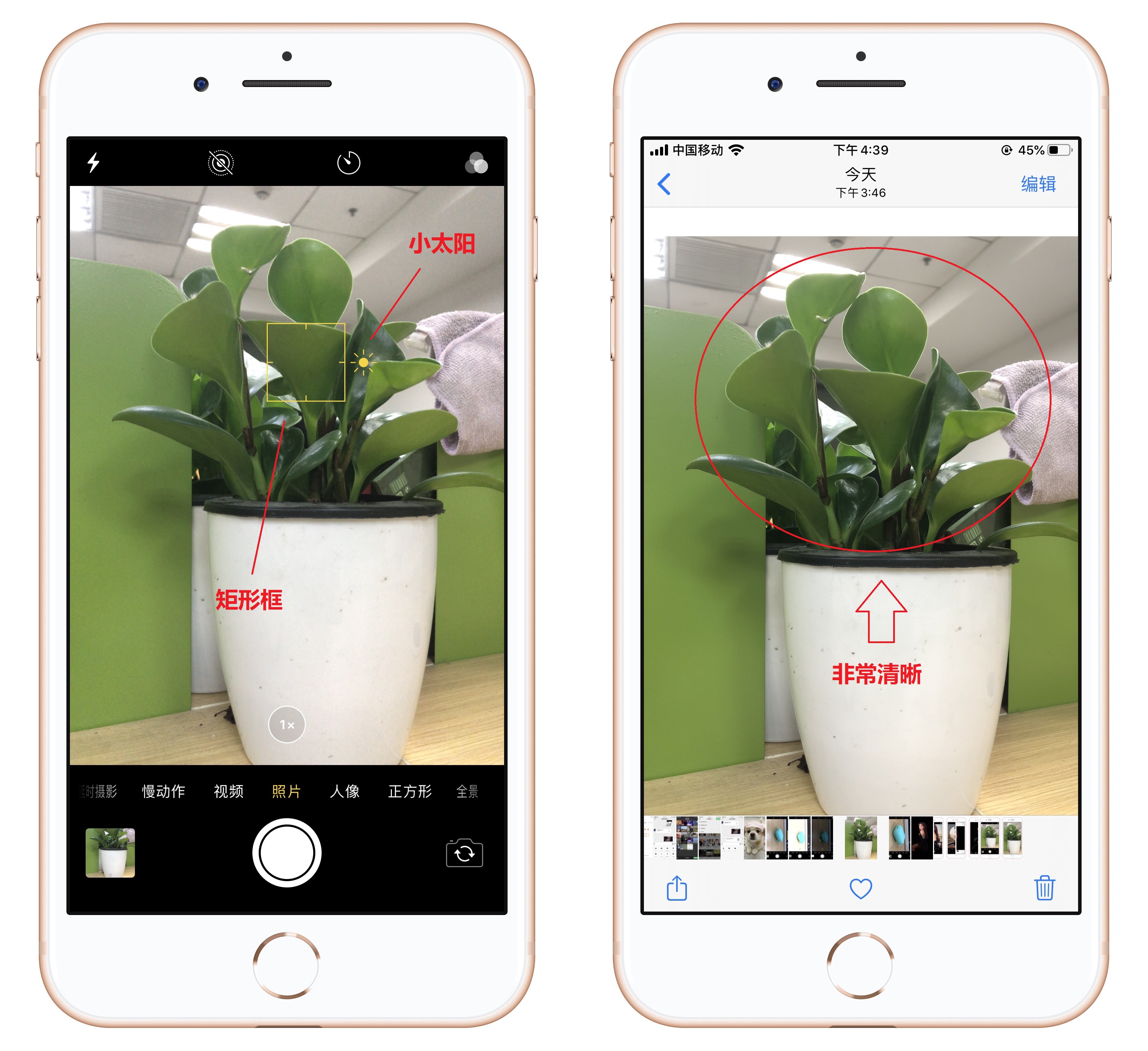 苹果手机拍照如何不全屏,苹果手机拍照不好看怎么调试