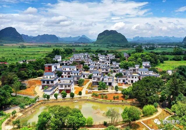 vr直播24小时,vr直播预告