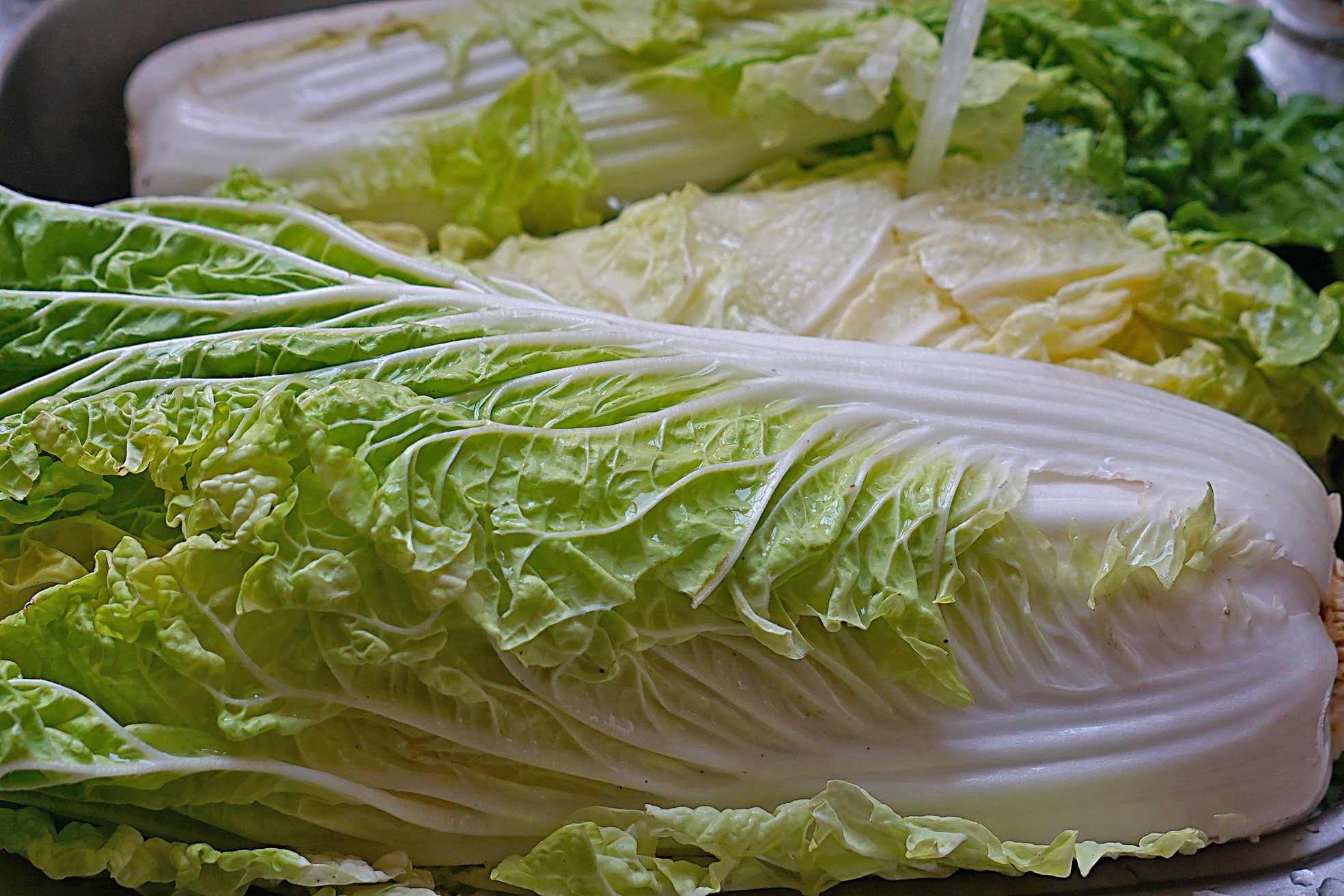 怎么腌酸菜又快又好吃,手把手教你腌酸菜的正确做法