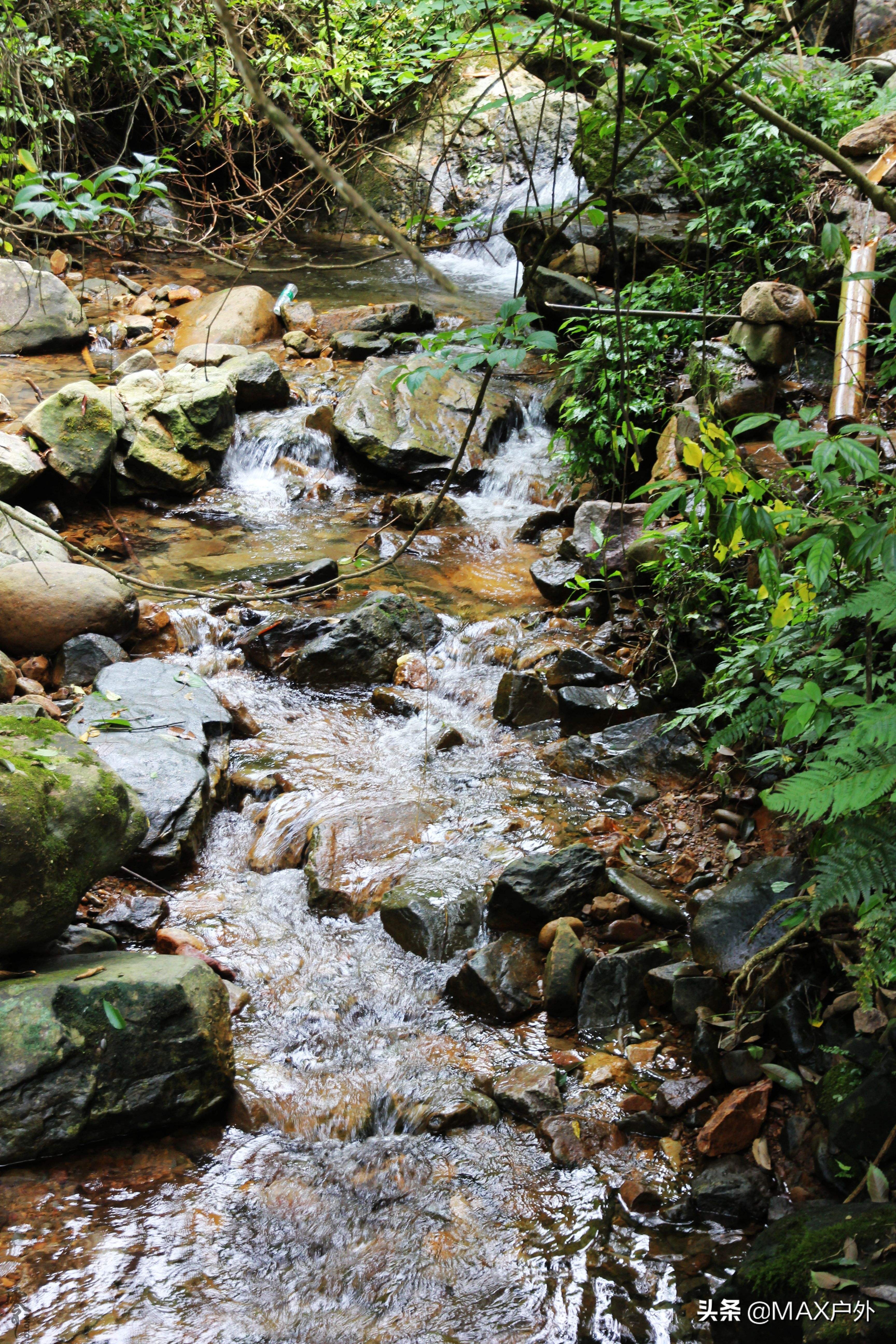 开启你的天然氧吧洗肺之旅,富氧洗肺好去处