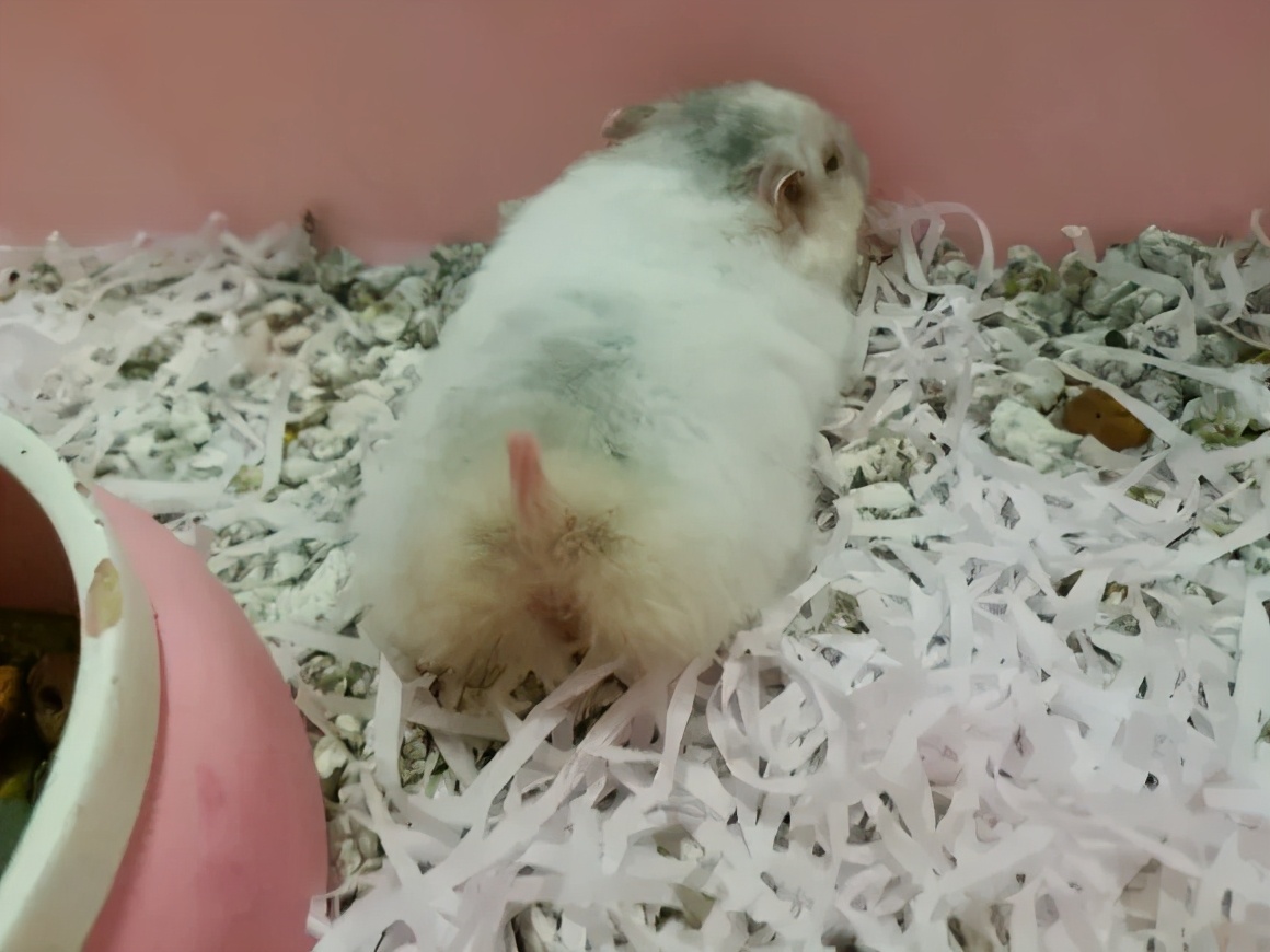 怎么知道她有没有怀孕,怎么知道自己是不是怀孕初期