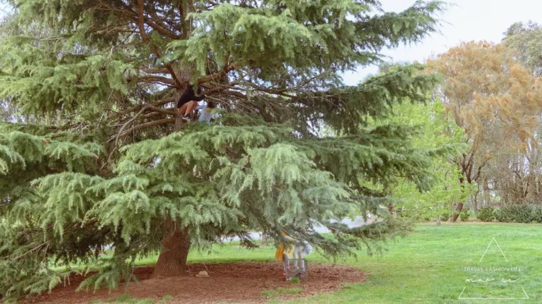 澳洲堪培拉景色,澳洲堪培拉动物园