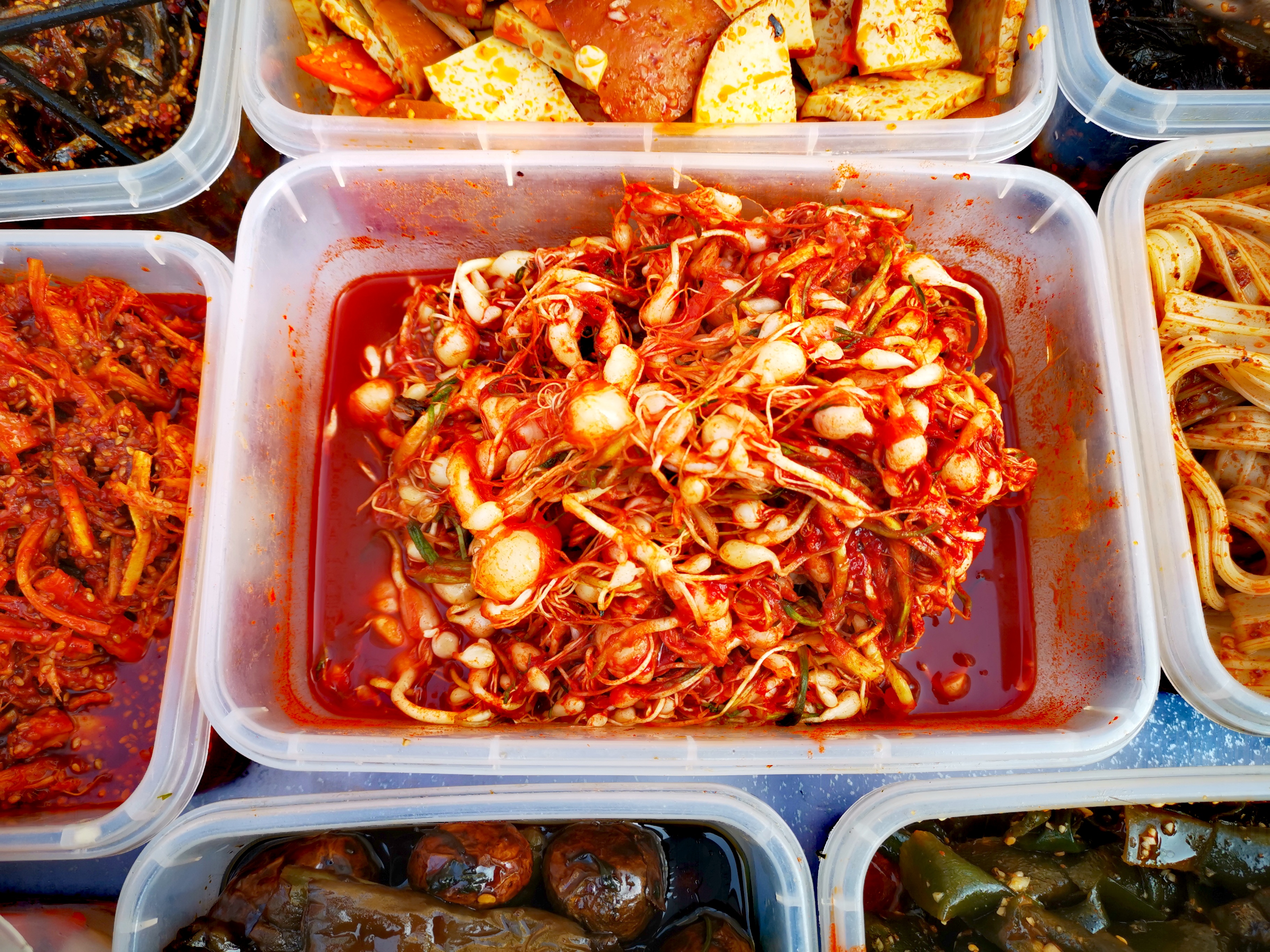 东北山野菜桔梗,桔梗药食同源