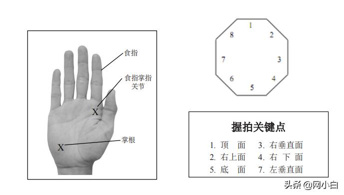 技术理论l第一期网球技术基础——正确的握拍方式