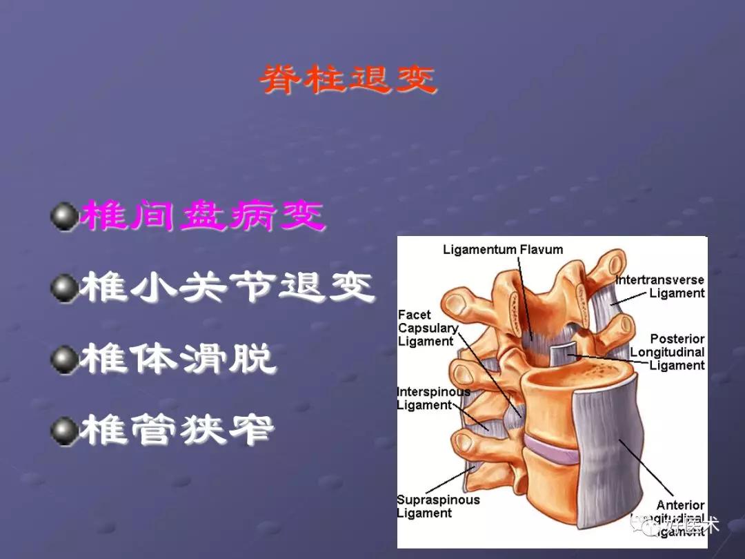 脊柱mri有哪些特点,乳腺疾病的mri诊断及鉴别