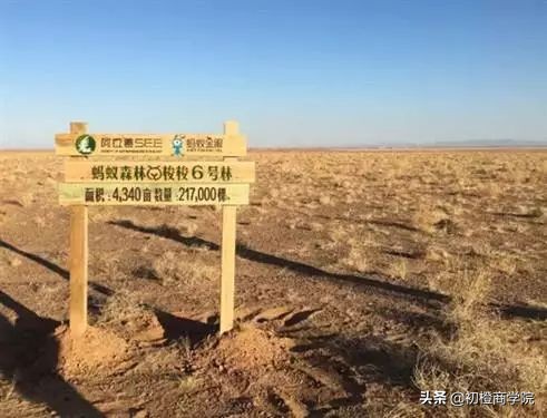 马云商业传奇背后,他对侠义的执念有多深?