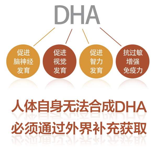 孕妈要补充哪种dha,孕妈补充dha一天多少