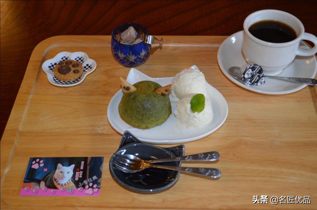 20岁少年建“猫猫寺”，和尚住持全是猫咪，网友：不敢撸不敢吸